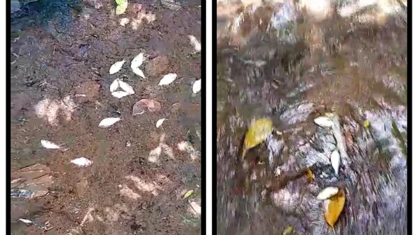 Suman nuevas denuncias de contaminación en Paso Yobái