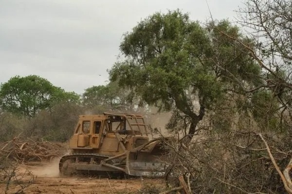 Ganaderos denuncian intento de la UE de imponer Agenda Verde y cerrar sus mercados a la carne paraguaya – La Mira Digital