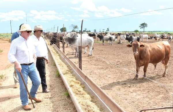 Presidente de la ARP dice que reglamentación de la UE no implica ningún compromiso para la soberanía - Nacionales - ABC Color