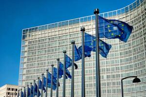 Comercio con Europa: ARP insta a adaptarse a las demandas del mercado y FECOPROD manifiesta disconformidad - MarketData