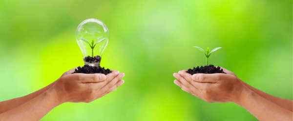 Paraguay se ubica entre los 6 paises que más consumen energía renovable