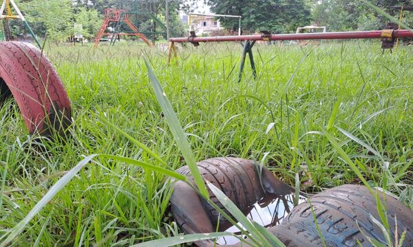 Piden a la Itaipú Binacional la limpieza de espacios públicos de CDE