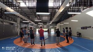 Selección de Lucha Olímpica intensifica preparativos para campeonato internacional