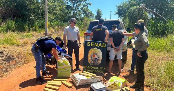 La Nación / Concepción: detienen a un hombre con 67 kilos de marihuana