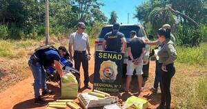 La Nación / Aprehenden a un hombre con 67 kilos de marihuana