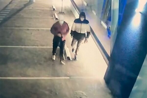 Ladrones robaron teléfonos, computadoras y electrodomésticos de conocida firma comercial – Diario TNPRESS