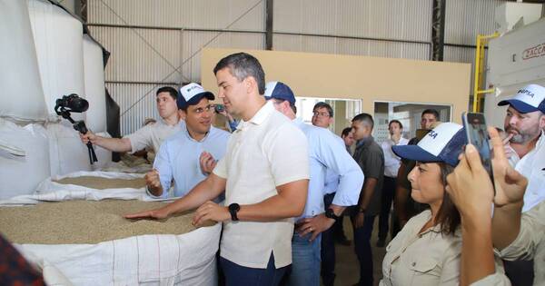 Diario HOY | Peña retoma actividades tras pausa por estudios médicos