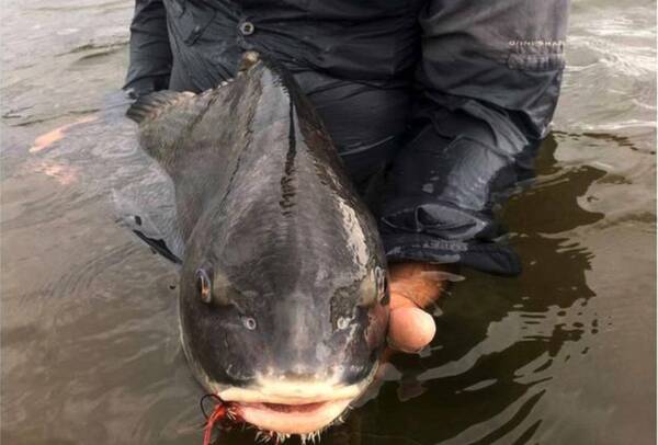 ¡Novaseo! ¿Pescaditos calentones haciendo el “ya tu sabes” no dejan dormir a todo un barrio?