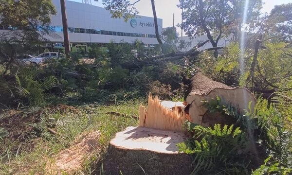 Tape Porã dice que crimen ambiental de Agrofértil está en franja del MOPC