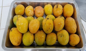 Beneficios del mango | Telefuturo