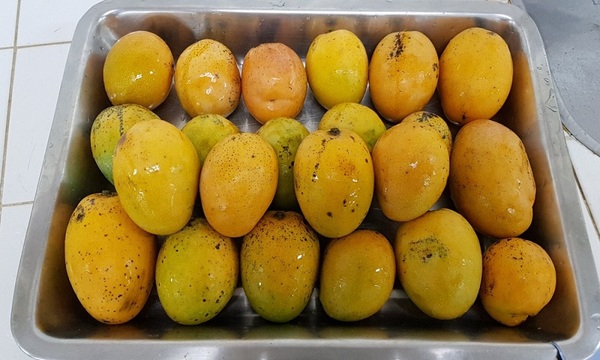 Beneficios del mango | Telefuturo