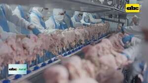 Video: exportación de productos avícolas aumentó 32 por ciento - ABC Rural - ABC Color