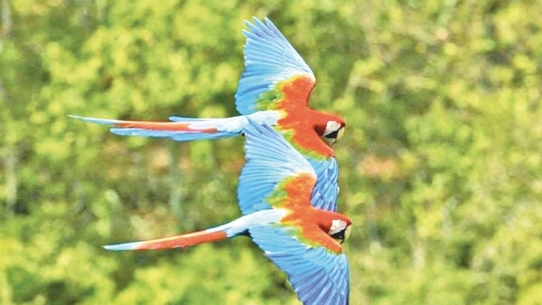Premiada Ruta del Gua’a apalanca el ecoturismo en el Norte del país