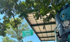 Cosa de puercos: Parada de bus es vertedero avei en Luque
