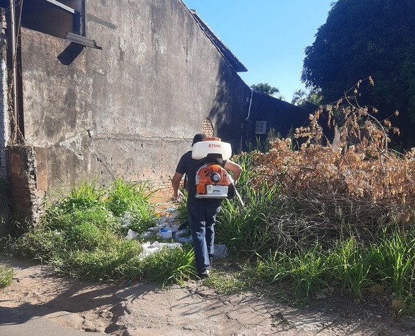 AUDIO: Siguen intensificando lucha contra el dengue, informó director de Salubridad - San Lorenzo Hoy