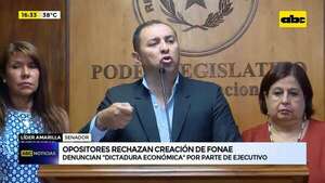 Video: opositores rechazan creación de Fonae - ABC Noticias - ABC Color