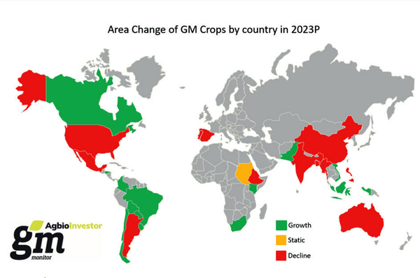 Entre los de mayor crecimiento en superficie de GM