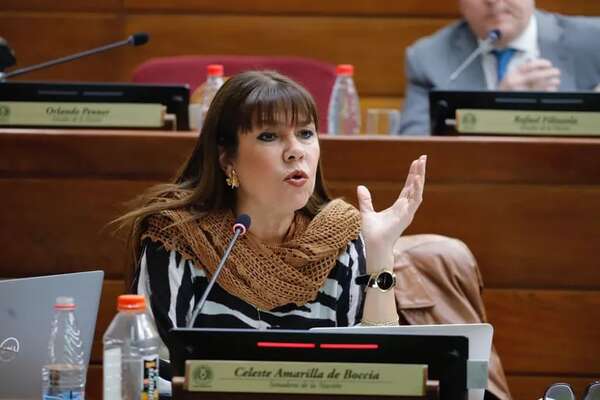 Celeste afirma que Peña, Alliana y Rojas van “por una comisión” en licitación del almuerzo escolar  - Política - ABC Color