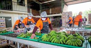 La Nación / Paraguay ya puede enviar banana a Chile