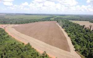 Agricultura regenerativa con biológicos y uso de drones - Economía - ABC Color