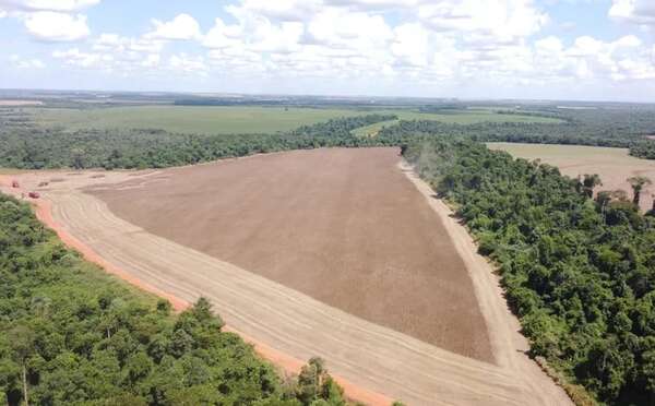Agricultura regenerativa con biológicos y uso de drones - Economía - ABC Color