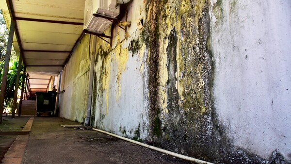 Vieja infraestructura del Ineram puso en riesgo a paciente en UTI