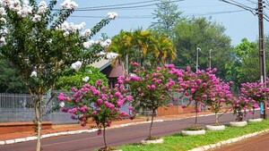 Crespones hechizan el paisaje en el Sur