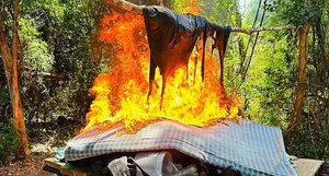 Desmantelan campamento y producción narco en Caaguazú