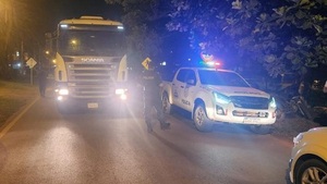 En asalto tipo comando roban camion con 33.000 kilos de soja