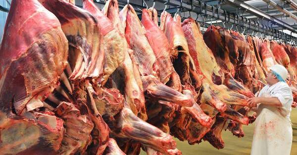 La Nación / Ingreso de divisas por envíos de carne cayó 12 % en el 2023