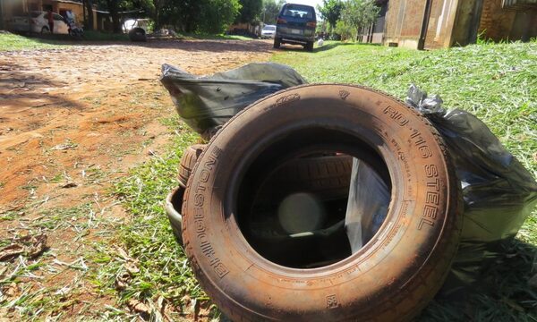 CDE sigue encabezando casos de dengue en Alto Paraná