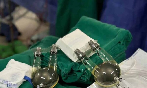 Una adolescente de 14 años es conectada a corazón artificial a la espera del trasplante – Prensa 5