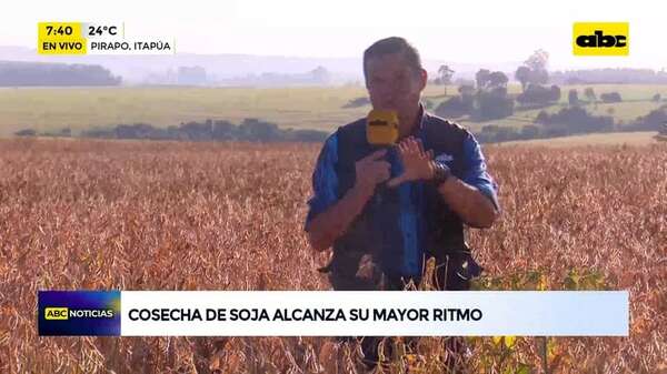 Video: Cosecha de soja alcanza su mayor ritmo - ABC Noticias - ABC Color