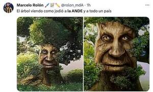 Se fue la "lú" y comenzaron a saltar los memes sobre la Ande