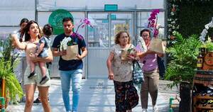 La Nación / ¡Llega la cuarta edición de Flori Fleria!