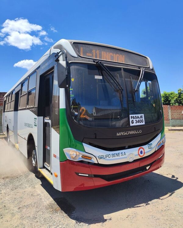 Transporte público: Renovarán flotas y reportan acatamiento de carril único por parte de conductores de buses - MarketData