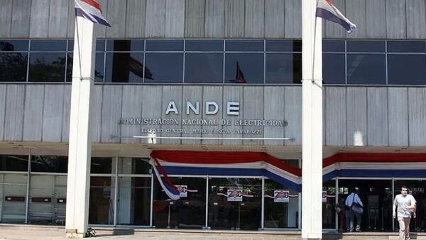ANDE reportó varias zonas sin energía eléctrica a raíz de la caída de un árbol - El Independiente