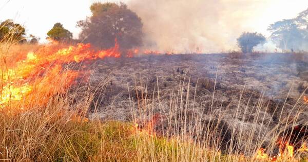 Diario HOY | Infona extiende suspensión de quemas controladas ante riesgo latente de incendios forestales