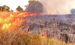 Infona extiende suspensión de quemas controladas ante riesgo latente de incendios forestales – Prensa 5