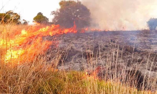 Infona extiende suspensión de quemas controladas ante riesgo latente de incendios forestales – Prensa 5