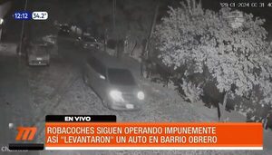 Así robaron un vehículo con total tranquilidad | Telefuturo