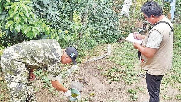 Pilar, en emergencia sanitaria por dengue
