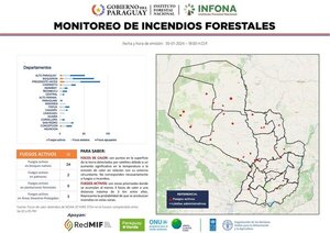 Ante amenaza de incendios forestales, INFONA amplía suspensión de quemas controladas - ADN Digital
