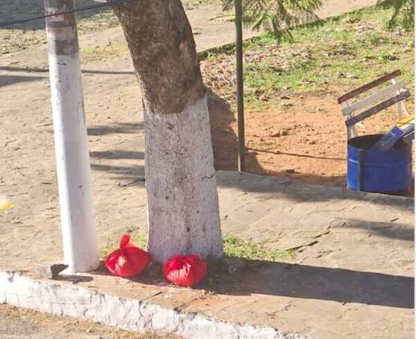 [VIDEO] ¡Hesukena! Captan vehículo dejando payé en una plaza de Lambaré
