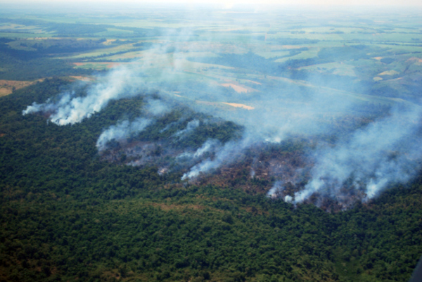 Infona advierte sobre peligro de incendios forestales y amplía la prohibición de quemas controladas - Unicanal