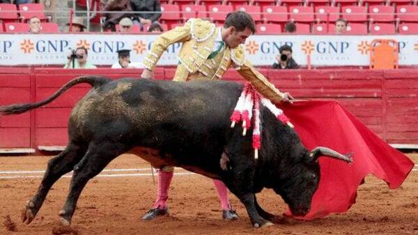 Jueza prohibió las corridas de toros en México