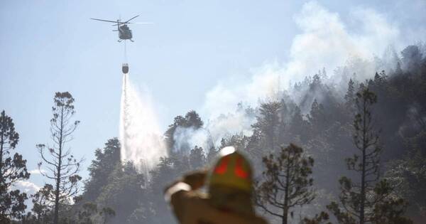 Diario HOY | Incendio en parque de Argentina quema 2.000 hectáreas en medio de alerta por calor