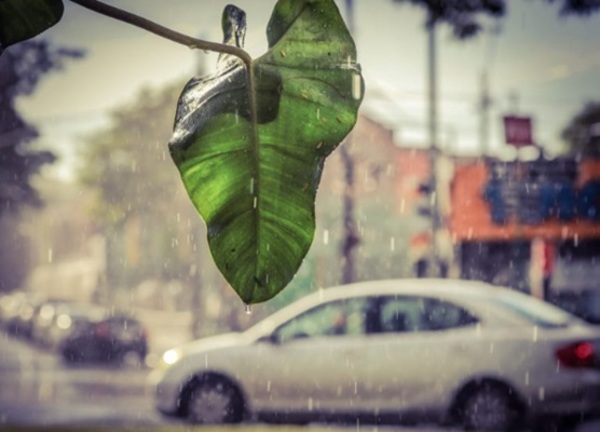 Meteorología advierte de jornada muy calurosa y chaparrones para hoy
