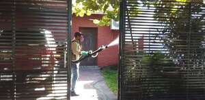 Senepa intensifica fumigación ante aumento de casos de dengue y falta de limpieza en domicilios - Nacionales - ABC Color