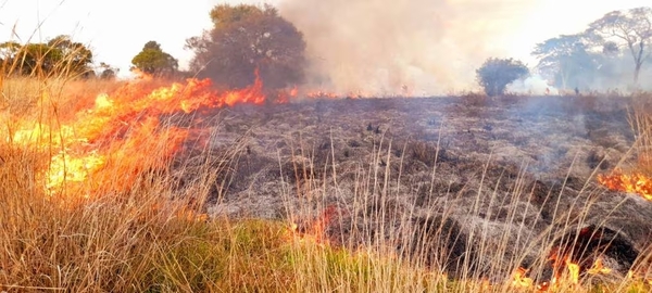 INFONA EXTIENDE SUSPENSIÓN DE QUEMAS CONTROLADAS ANTE RIESGO DE INCENDIOS FORESTALES - Itapúa Noticias